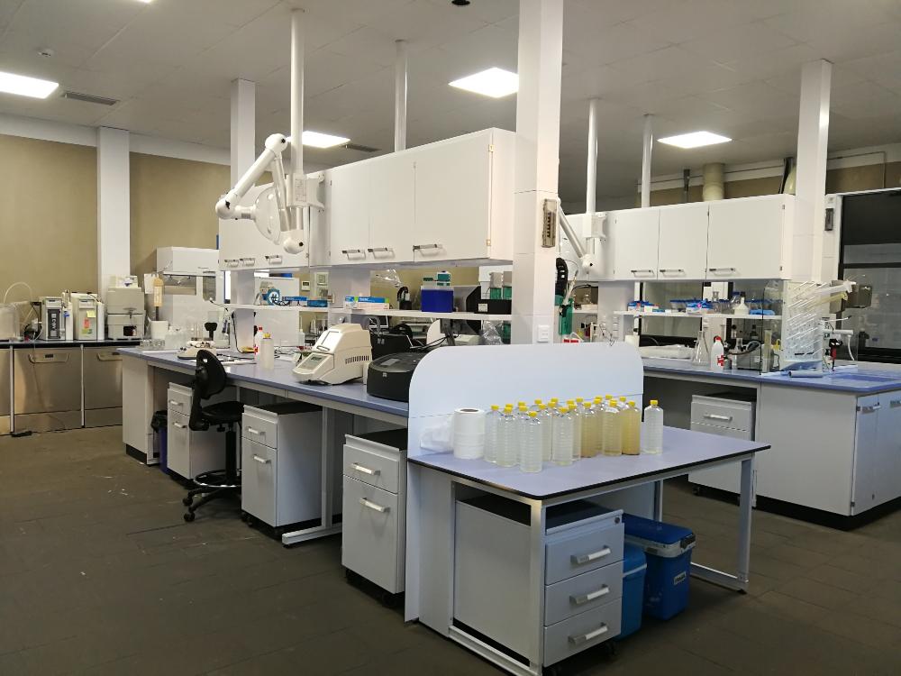 Vista del laboratorio general (I)