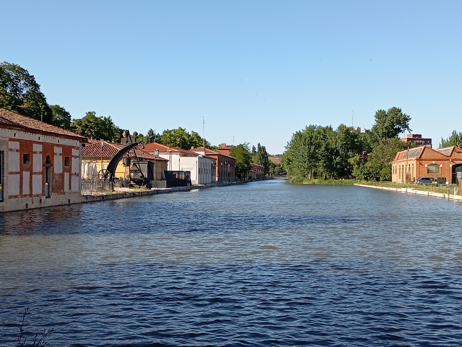 La CHD niega una “tala masiva” en el Canal de Castilla y defiende las actuaciones para mejorar la vegetación de la zona