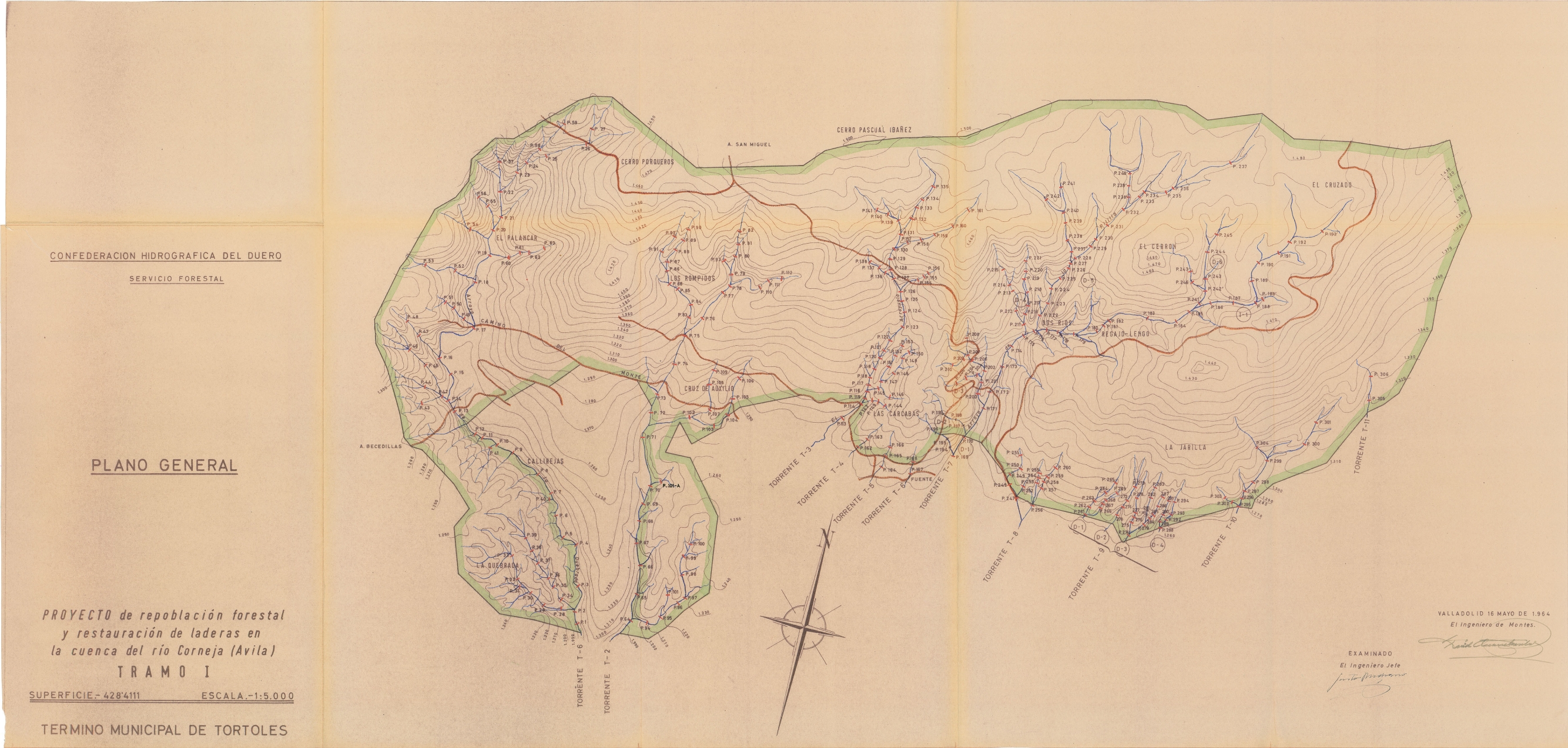 Proy.4340 Repoblación forestal Tórtoles